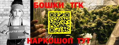 прущие грибы Кинель